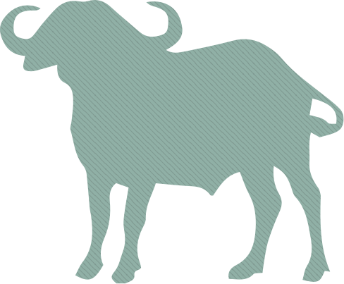 Buffalo silhouette